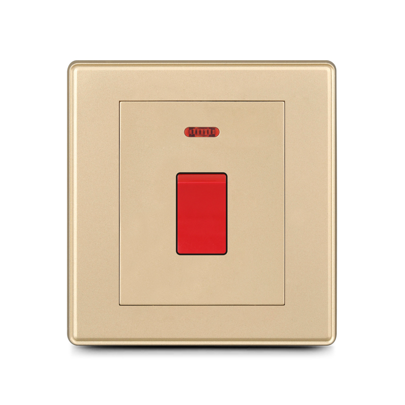 20A DP switch